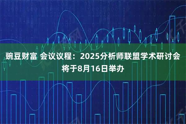 豌豆财富 会议议程：2025分析师联盟学术研讨会将于8月16日举办